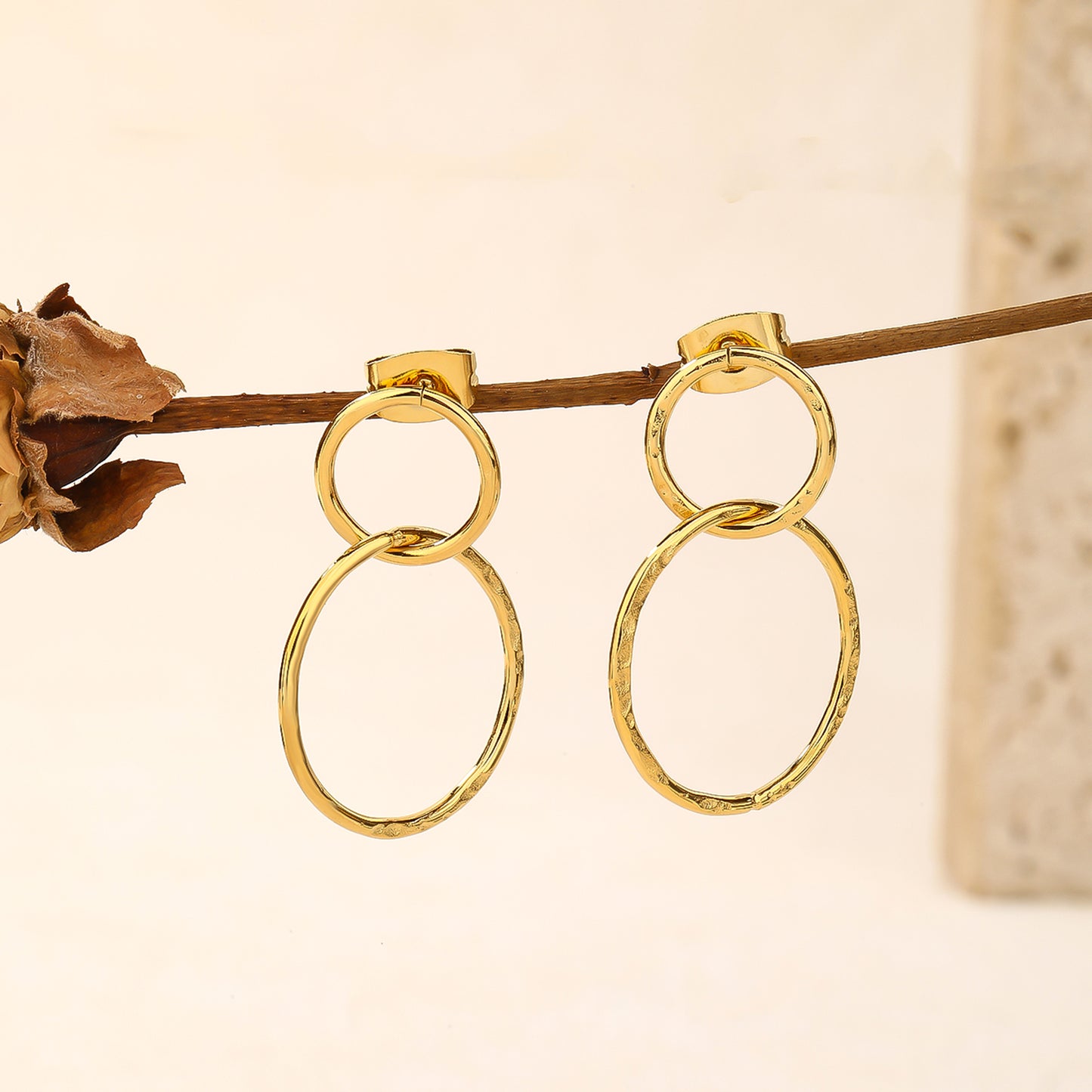 Double Circle Earrings